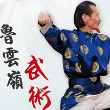 <h2>Flyer // Lu Yun Ling Wushu</h2>Mars 2014