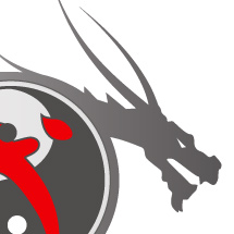 <h2>Logotype // Lu Yun Ling Wushu</h2>Mai 2008