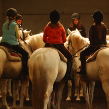 <h2>Cours d'équitation</h2>26 avril 2008