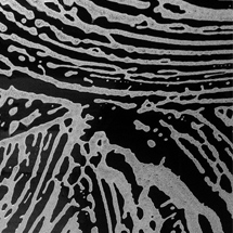 <h2>Car wash zebra effect</h2>11 mai 2015